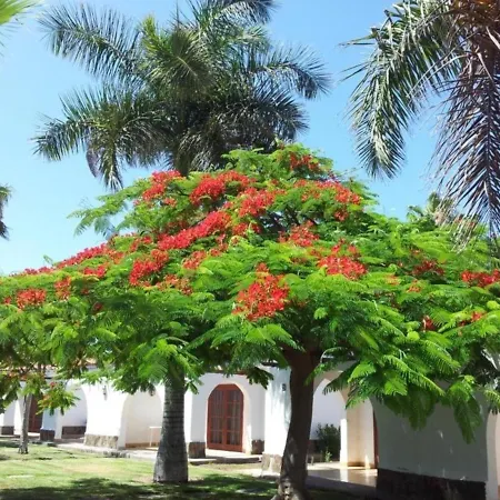 Parque Golf Bungalow San Bartolomé Extérieur photo
